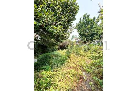 Concepción, Región Del Biobío 00001, Chile