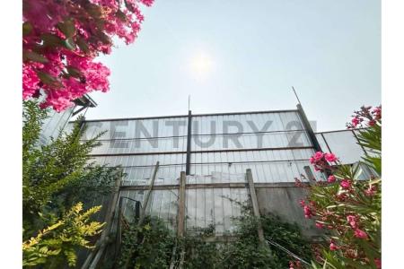 Concepción, Región Del Biobío 00001, Chile