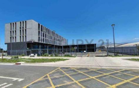 Cachapoal, Región Del Libertador Gral. Bernardo O’Higgins 00001, Chile