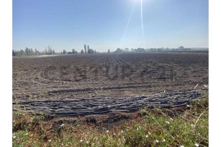 Chacabuco, Región Metropolitana de Santiago 00001, Chile