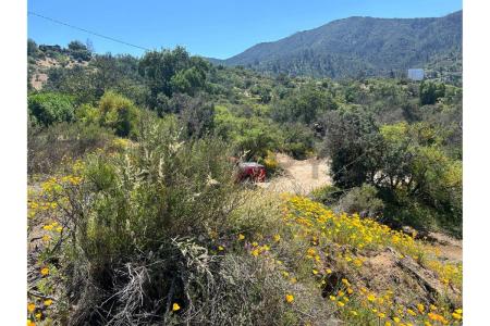 Curacaví, Región Metropolitana De Santiago 00001, Chile
