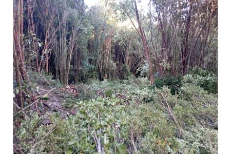 Chiloé, Región De Los Lagos 00001, 칠레