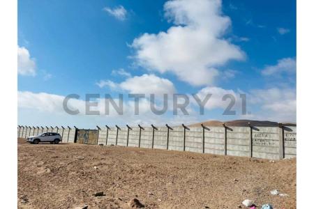 Iquique, Tarapacá 00001, צ'ילה 