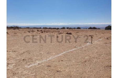 Tamarugal, Tarapacá 00001, Chi-Lê