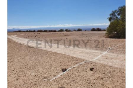 Tamarugal, Tarapacá 00001, Chi-Lê