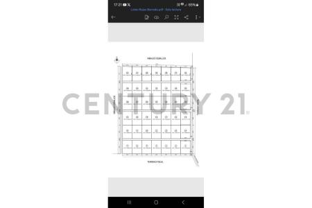 Tamarugal, Tarapacá 00001, Chi-Lê