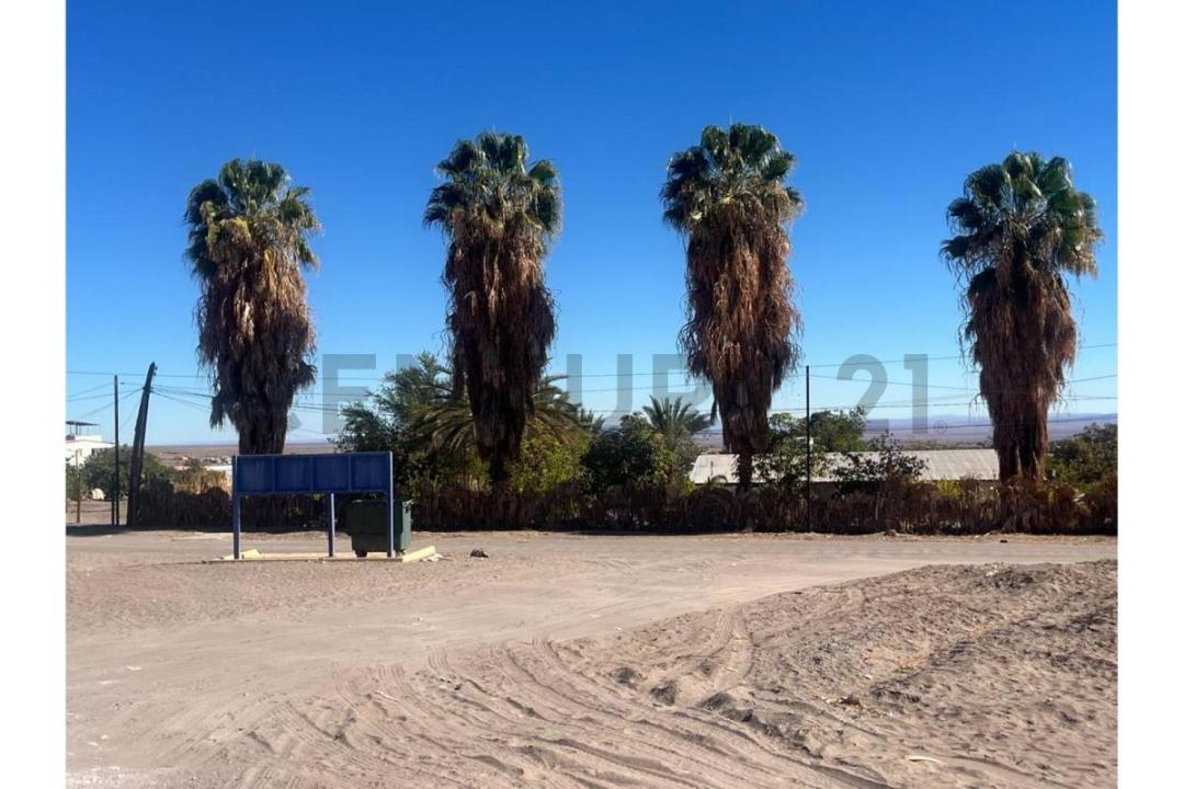 Tamarugal, Tarapacá 00001, チリ