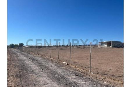 Tamarugal, Tarapacá 00001, チリ