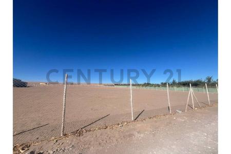 Tamarugal, Tarapacá 00001, チリ