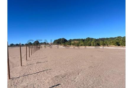 Tamarugal, Tarapacá 00001, チリ