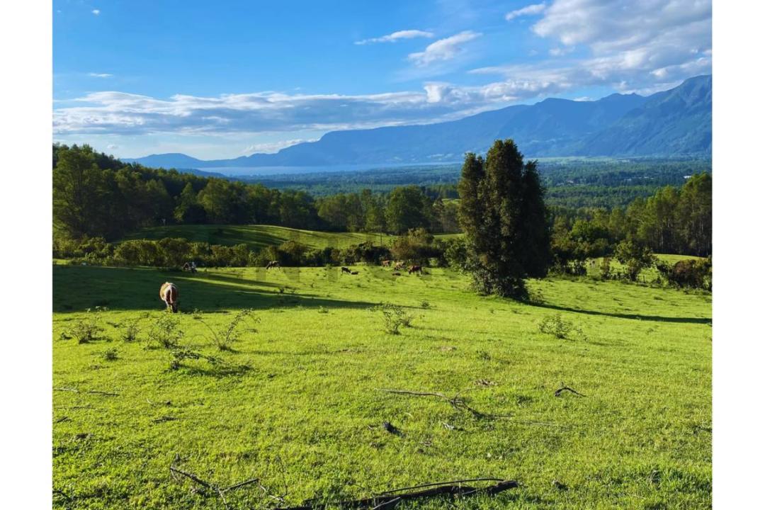 Cautín, Región De La Araucanía 00001, 智利