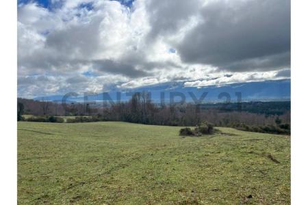 Cautín, Región De La Araucanía 00001, 智利