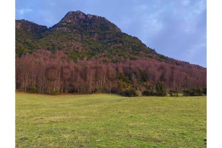 Cautín, Región De La Araucanía 00001, 智利