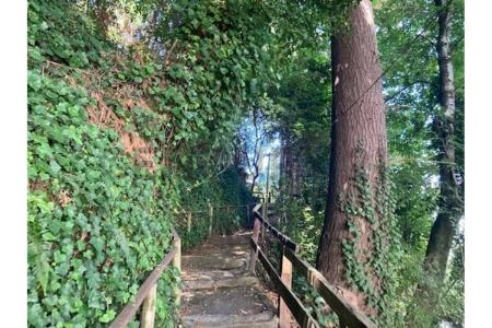 Cautín, Región De La Araucanía 00001, 智利