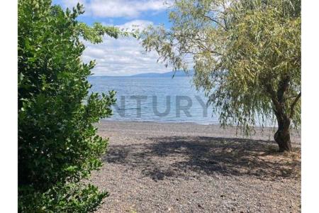 Cautín, Región De La Araucanía 00001, 智利