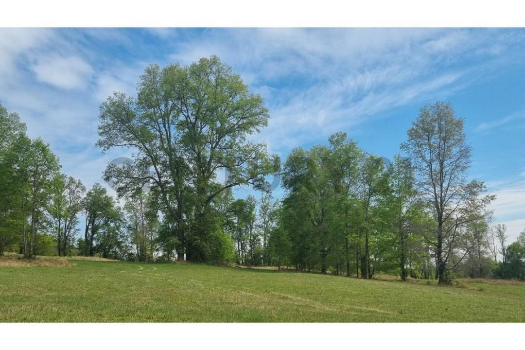 Cautín, Región De La Araucanía 00001, 智利