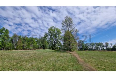 Cautín, Región De La Araucanía 00001, 智利