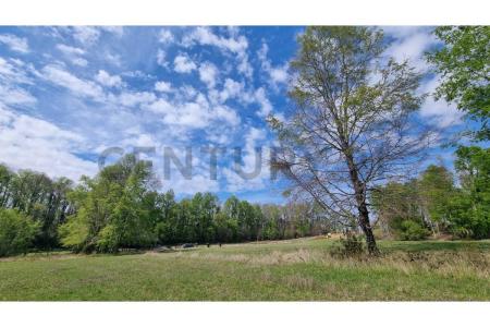 Cautín, Región De La Araucanía 00001, 智利