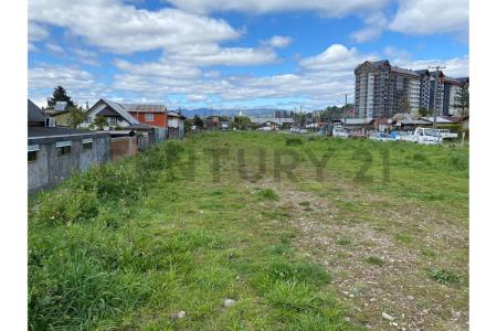 Cautín, Región De La Araucanía 00001, 智利