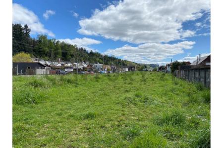 Cautín, Región De La Araucanía 00001, 智利