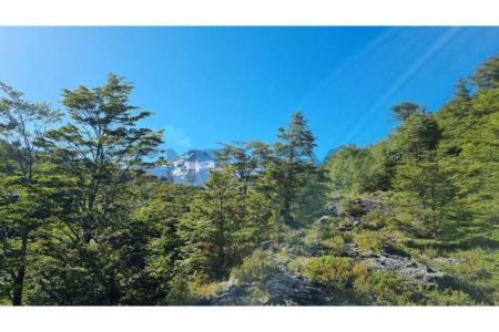 Cautín, Región De La Araucanía 00001, 智利