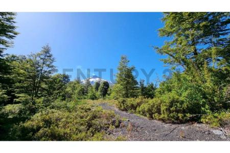 Cautín, Región De La Araucanía 00001, 智利