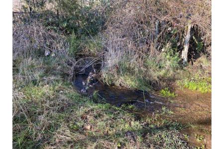 Cautín, Región De La Araucanía 00001, Chile