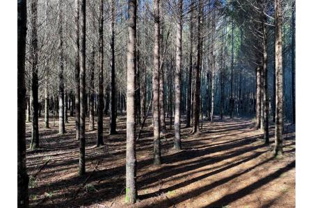 Cautín, Región De La Araucanía 00001, Chile