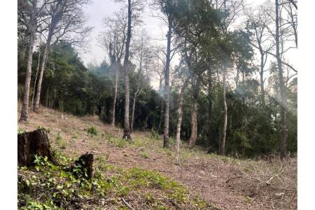 Cautín, Región De La Araucanía 00001, 智利