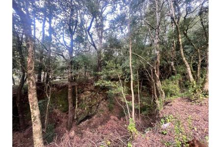 Cautín, Región De La Araucanía 00001, 智利