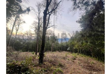 Cautín, Región De La Araucanía 00001, 智利