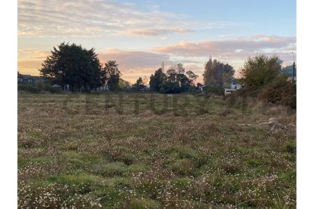 Cautín, Región De La Araucanía 00001, 智利