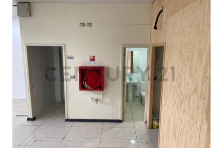 Cautín, Región De La Araucanía 00001, Chile