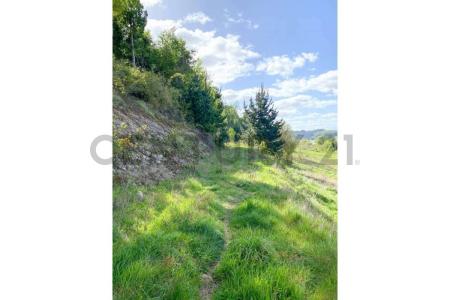 Cautín, Región De La Araucanía 00001, Chile