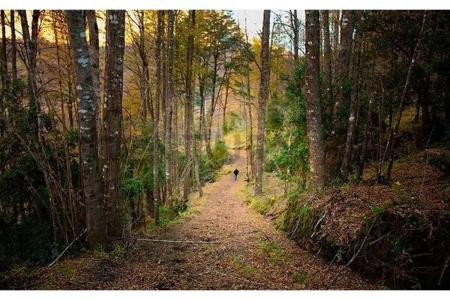 Cautín, Región De La Araucanía 00001, Chile