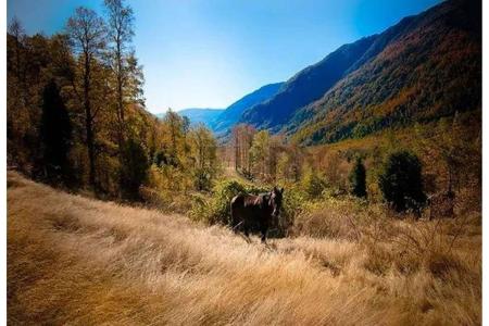 Cautín, Región De La Araucanía 00001, Chile
