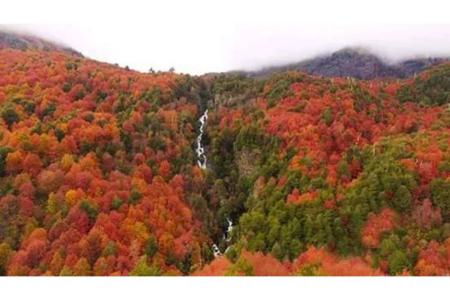 Cautín, Región De La Araucanía 00001, Chile