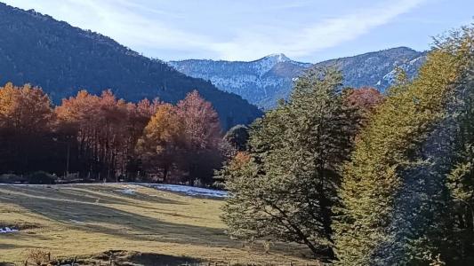 Cautín, Región De La Araucanía 00001, Chile