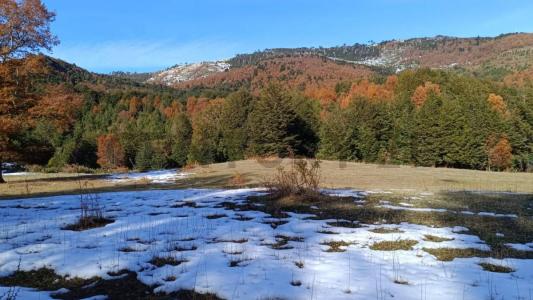 Cautín, Región De La Araucanía 00001, Chile