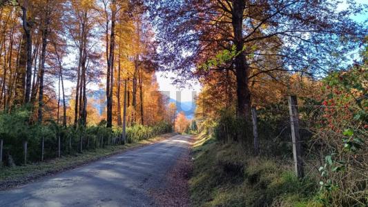 Cautín, Región De La Araucanía 00001, Chile