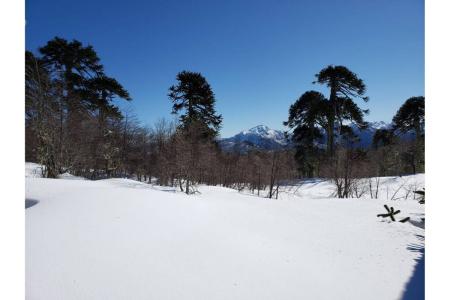 Cautín, Región De La Araucanía 00001, Chile