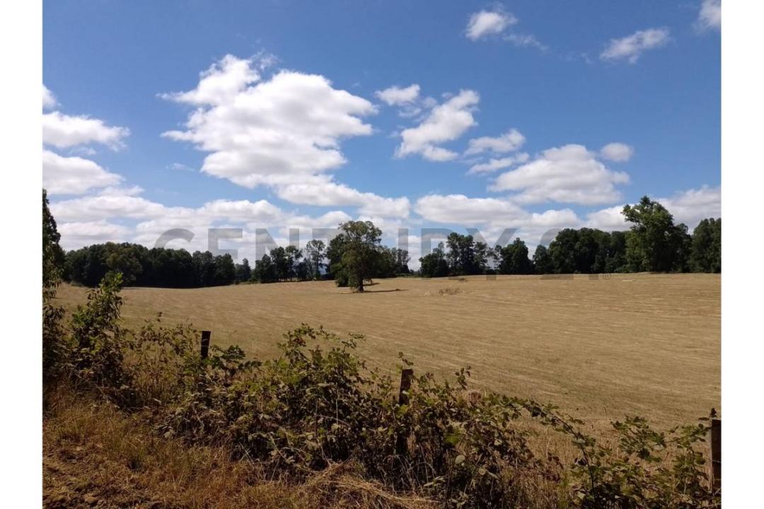 Cautín, Región De La Araucanía 00001, Chile