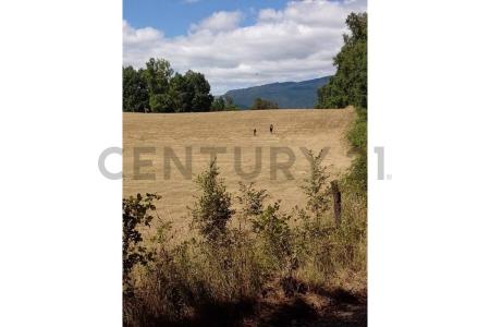 Cautín, Región De La Araucanía 00001, Chile