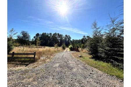 Cautín, Región De La Araucanía 00001, 智利