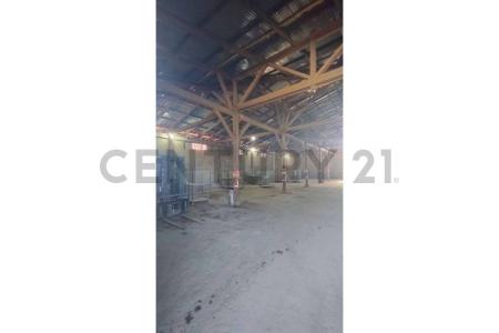 Cautín, Región De La Araucanía 00001, 智利