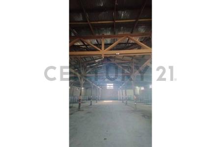 Cautín, Región De La Araucanía 00001, 智利