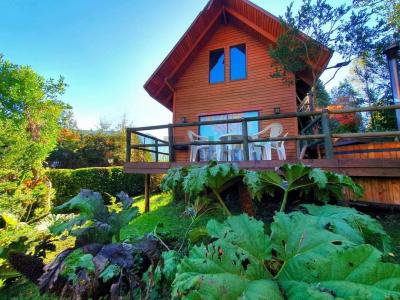 Cautín, Región De La Araucanía 00001, Chile