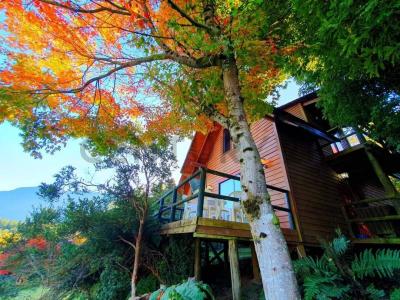 Cautín, Región De La Araucanía 00001, Chile