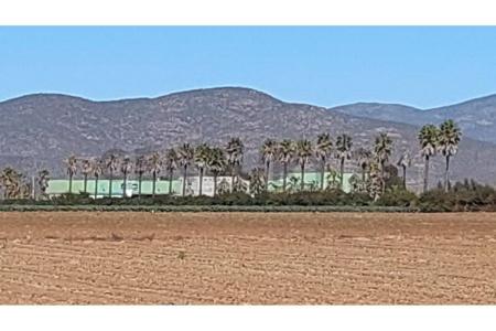 Elqui, Coquimbo 00001, 智利