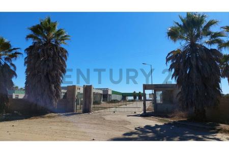 Elqui, Coquimbo 00001, 智利